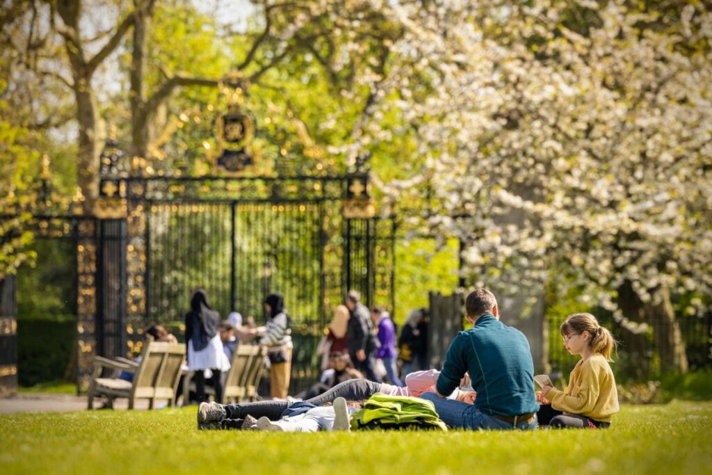 People sitting in a park